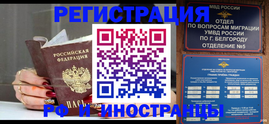 прописка в Курчалом